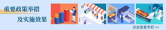 重要政策舉措及實(shí)施效果